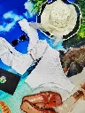 1000513986 (1).webp