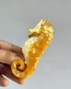 Pinza caballito mar amarillo